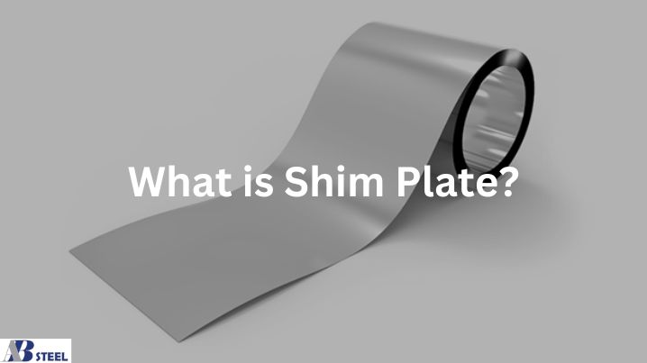 What is Shim Plate